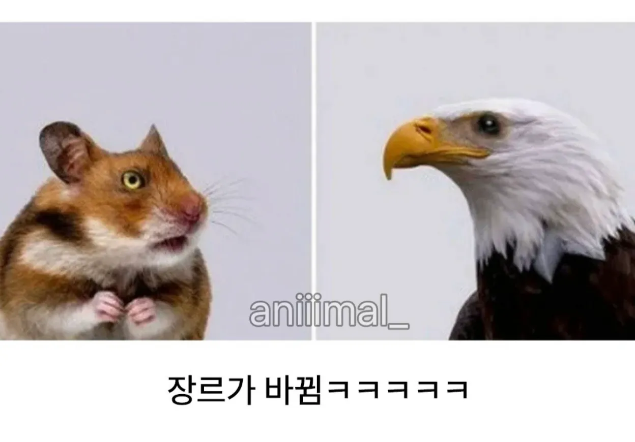 외모에 눈이 90%인 이유를 보여주는 밈 이미지