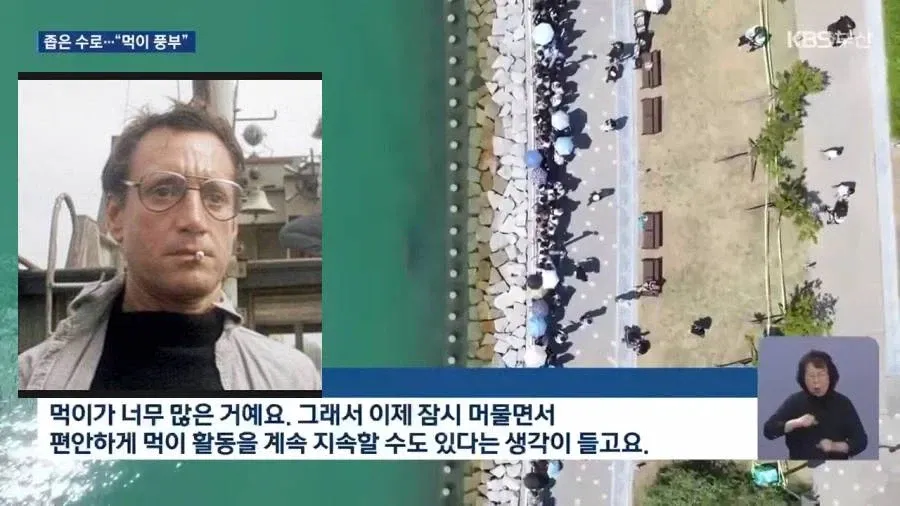 북항에 상어가 머무는 이유로 풍부한 먹이를 설명하는 외국 전문가