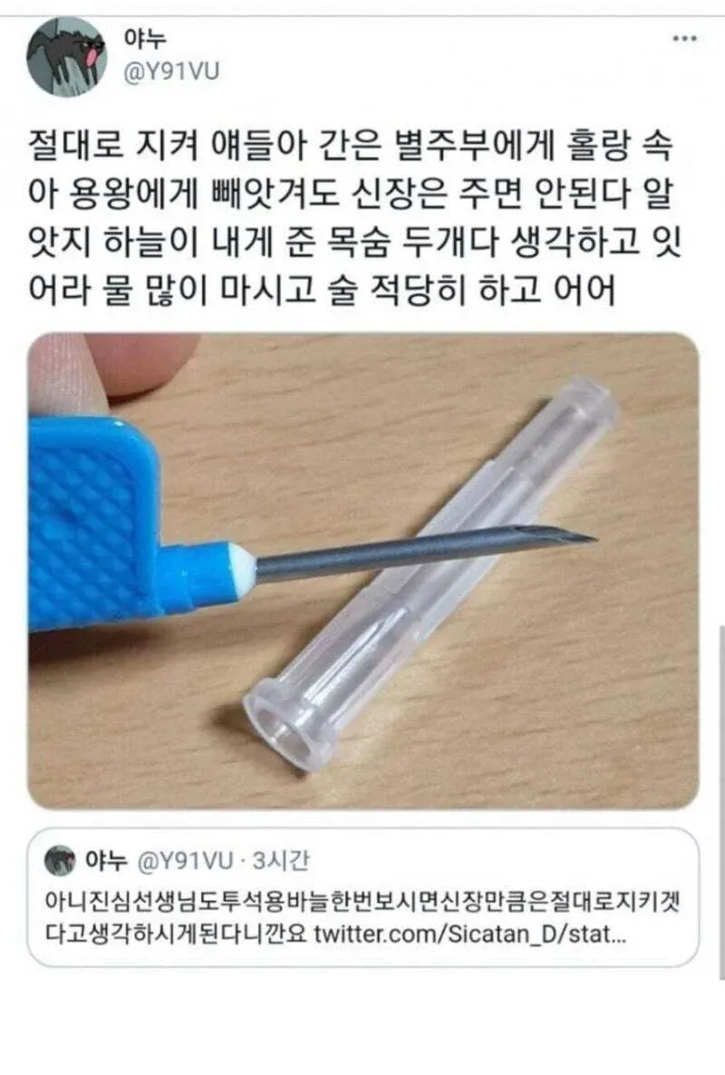 투석 바늘의 고통을 강조하며 신장을 지키자고 말하는 글
