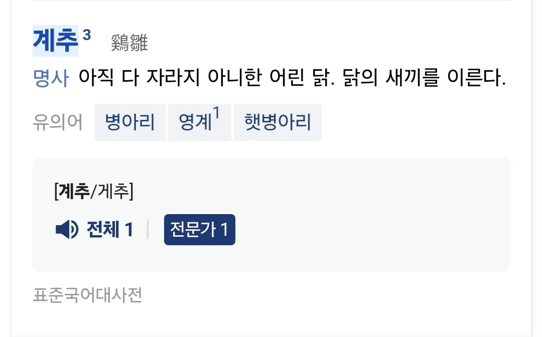 표준국어대사전의 ‘계추(鷄雛)’ 뜻풀이와 유의어