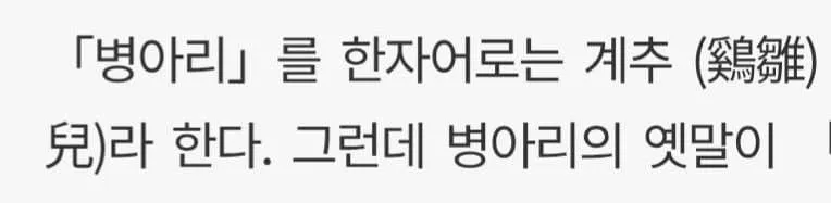 병아리를 한자로 계추(鷄雛兒)라 설명한 글 이미지