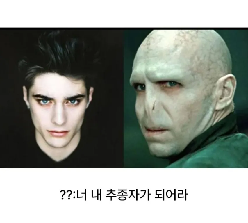 영생을 위해 얼굴을 잃은 볼드모트와 “너 내 추종자가 되어라” 문구