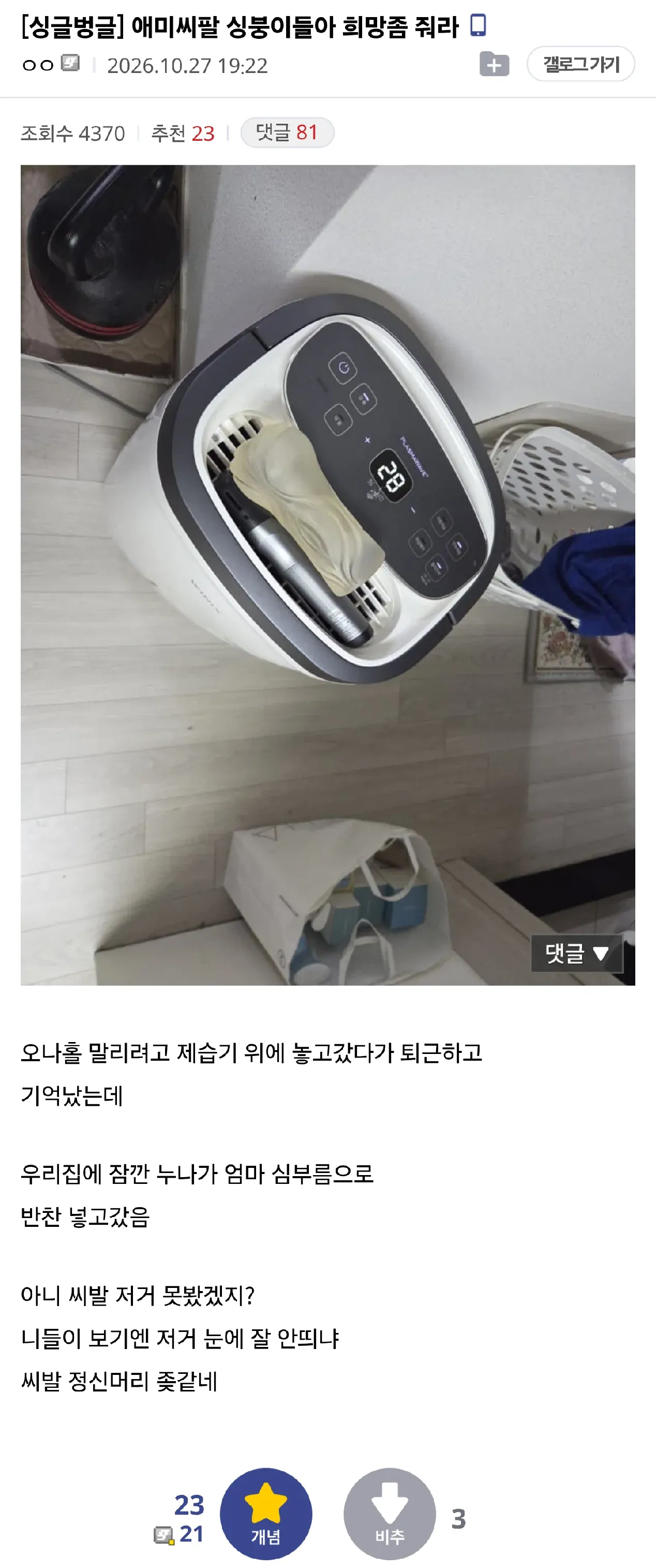 제습기 위에 둔 성인용품을 누나가 봤을까 걱정하는 디시인 게시글 화면.