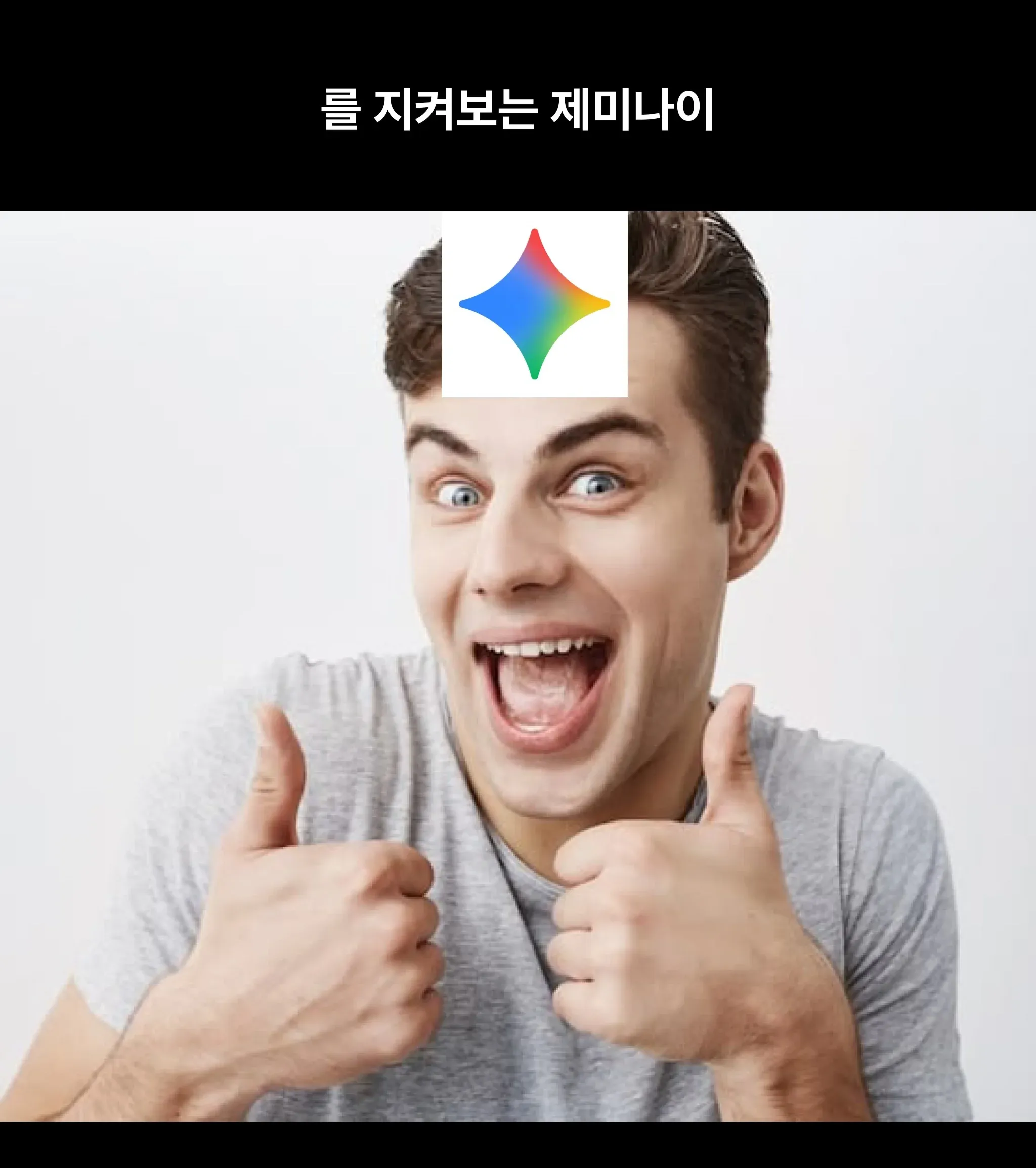 OCR 텍스트를 지켜보는 제미나이